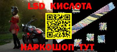 прущие грибы Гай
