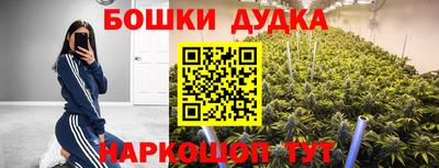 прущие грибы Гай