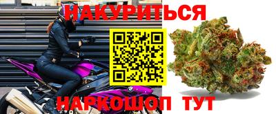 прущие грибы Гай