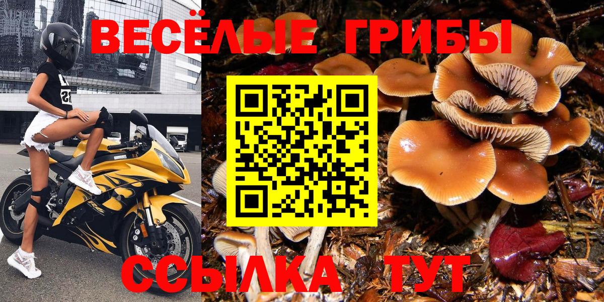  Cocaine Сафоново