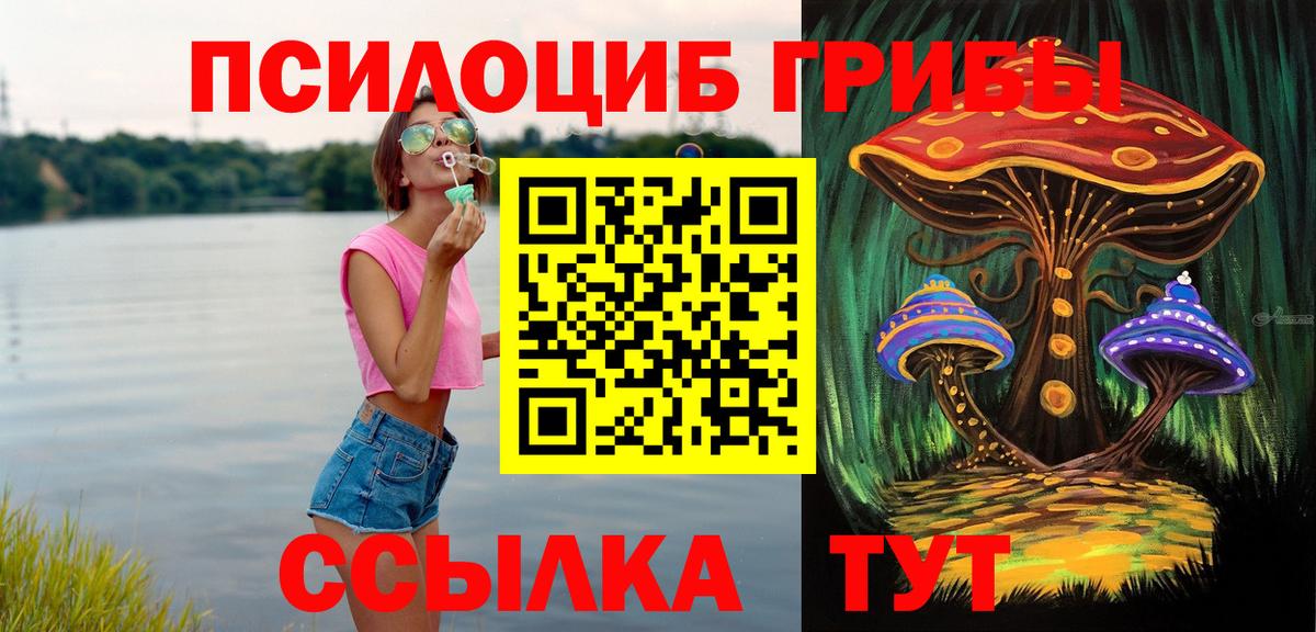 Галлюциногенные грибы прущие грибы  Вход с VPN  Сафоново 