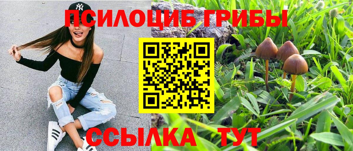 Галлюциногенные грибы GOLDEN TEACHER Сафоново